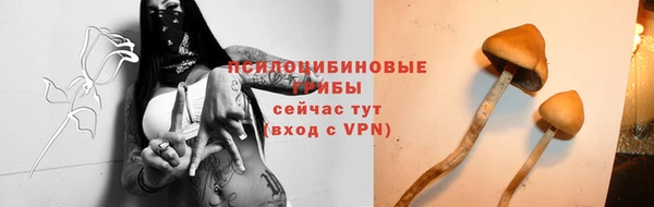 каннабис Баксан