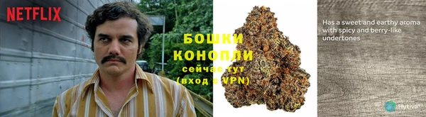 каннабис Баксан